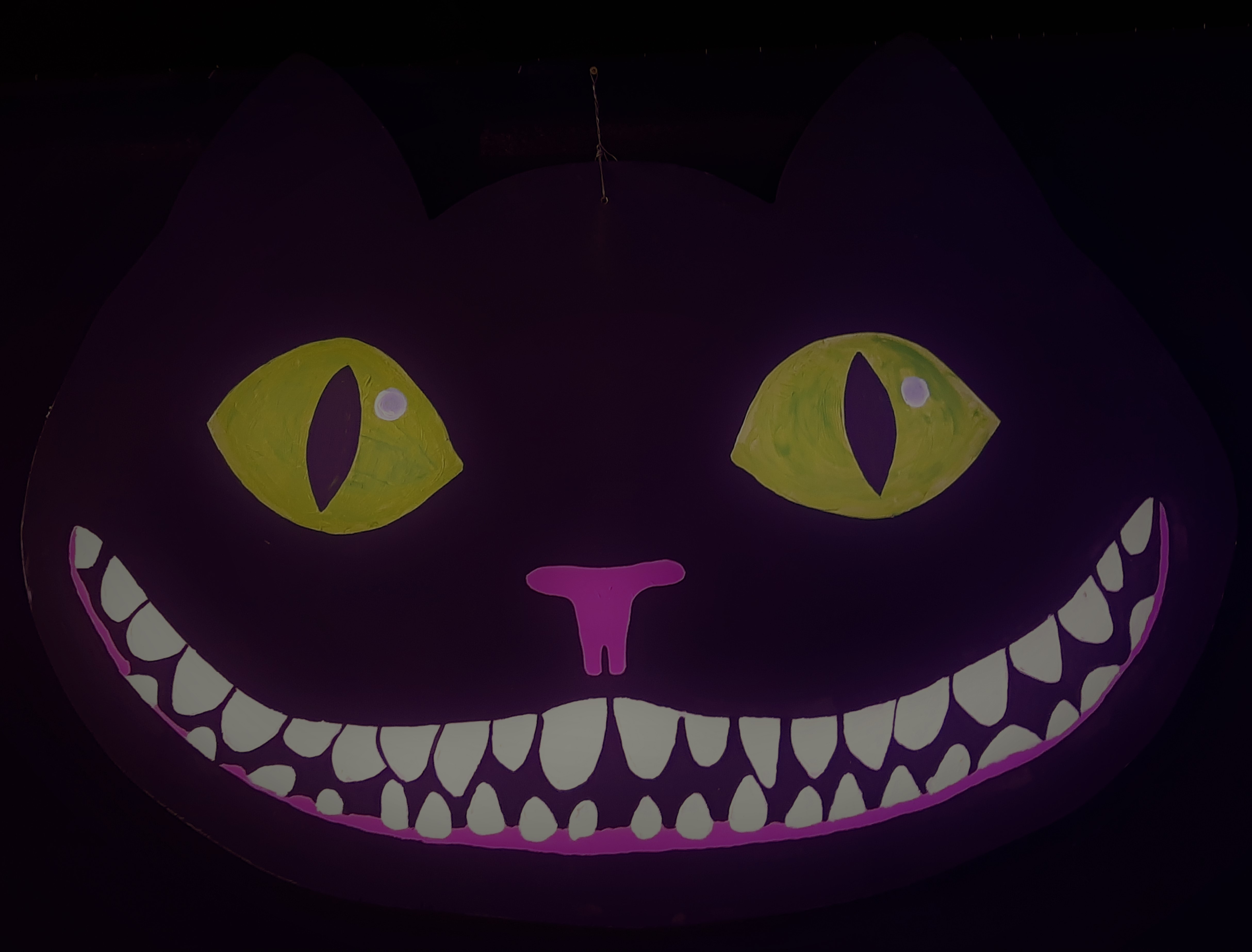alice cat
